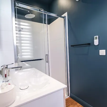 La Pause Albigeoise - Climatisation - Centre Semesterbostad Albi