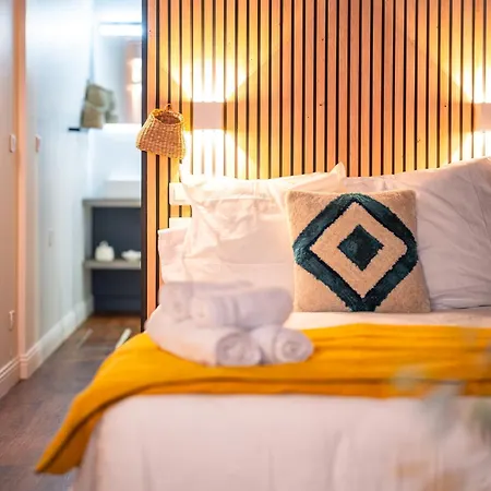 La Pause Albigeoise - Climatisation - Centre Semesterbostad Albi