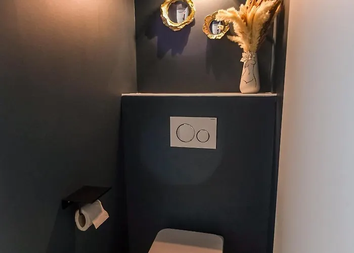 Holiday home La Pause Albigeoise - Climatisation - Centre *